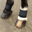 KITT Pastern Wraps - Black (One Size) additional 1