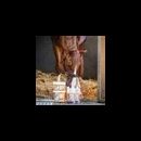 NAF Five Star Pro Feet Liquid Hoof Supplement additional 2