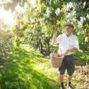 Redback UBOK Claret/Brown Leather Dealer Boots additional 6