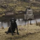 Hoggs Field &amp; Trek Country Backpack - Green/Black additional 3