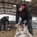 Hoggs Granite II Utility Thermal Trousers - Charcoal/Black additional 4