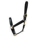 Coldstream Leather Padded Head Collar additional 2