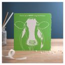 Deckled Edge Colour Block additional 3