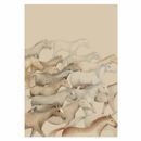 Deckled Edge Eureka! Card additional 2