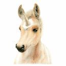 Deckled Edge Eureka! Card additional 3