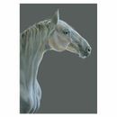 Deckled Edge Eureka! Card additional 4