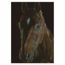 Deckled Edge Eureka! Card additional 6