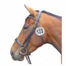 Equidisc additional 2