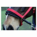 Ezyloader additional 2