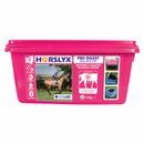Horslyx Pro Digest Balancer additional 3