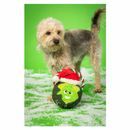 House of Paws Christmas Rope Toy additional 3