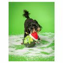 House of Paws Christmas Rope Toy additional 4