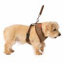 House of Paws Memory Foam Harness additional 4