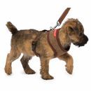 House of Paws Memory Foam Harness additional 5