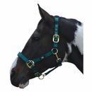 Hy Equestrian Deluxe Padded Head Collar additional 1