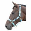 Hy Equestrian Deluxe Padded Head Collar additional 2