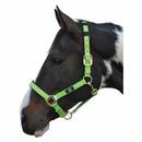 Hy Equestrian Deluxe Padded Head Collar additional 3
