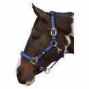 Hy Equestrian Deluxe Padded Head Collar additional 4