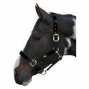 Hy Equestrian Deluxe Padded Head Collar additional 6