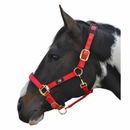 Hy Equestrian Deluxe Padded Head Collar additional 7