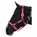 Hy Equestrian Deluxe Padded Head Collar additional 8