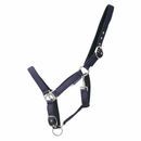 Hy Equestrian Glitzy Headcollar additional 4