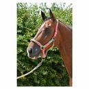 Hy Equestrian Multicolour Adjustable Head Collar with Rope additional 2