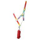 Hy Equestrian Ombre Head Collar &amp; Lead Rope additional 2