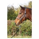 Hy Equestrian Rosciano Rose Gold Head Collar additional 1