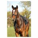 Hy Equestrian Rosciano Rose Gold Martingale additional 1