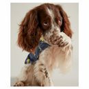 Joules Water Resistant Dog Coat additional 9