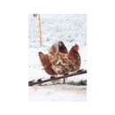 Kevin Milner Christmas Cards additional 1