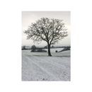 Kevin Milner Christmas Cards additional 2