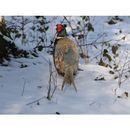 Kevin Milner Christmas Cards additional 9