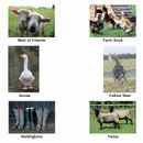 Kevin Milner Countryside Cards additional 2