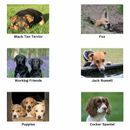 Kevin Milner Countryside Cards additional 4