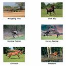 Kevin Milner Countryside Cards additional 5