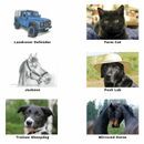 Kevin Milner Countryside Cards additional 9