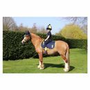 Lancelot Saddle Pad by Little Knight additional 2
