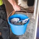 Red Gorilla Extra-Strong Premium Multipurpose Bucket - 3 Gallons additional 11