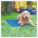 Rosewood Pet Cool Mat additional 2