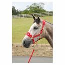 Supreme Products Dotty Fleece Head Collar &amp; Lead Rope additional 4