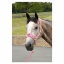 Supreme Products Dotty Fleece Head Collar &amp; Lead Rope additional 3