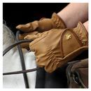 Supreme Products Pro Performance Show Ring Gloves additional 5