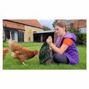 Trickle Net Chirpy Chook Meadow Net additional 3