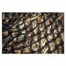 Trickle Net Original additional 2