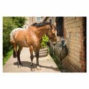 Trickle Net Original additional 5