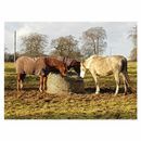 Trickle Net Round Bale Net additional 3