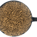 Dodson &amp; Horrell Build &amp; Glow Horse Feed - 18kg additional 2