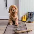 Pet Rebellion Stop Muddy Paws Stars Dog Mat additional 4